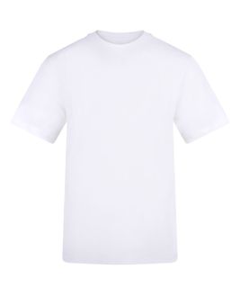 Arctic White