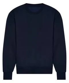 New French Navy