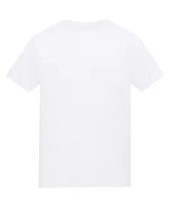 Arctic White